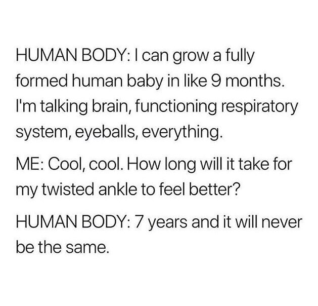 Human Body meme